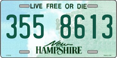 NH license plate 3558613