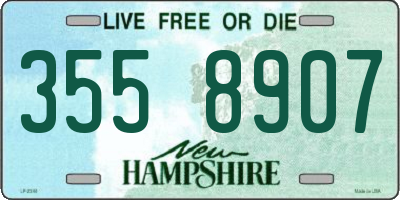 NH license plate 3558907