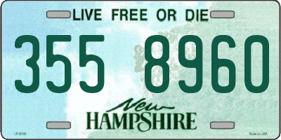NH license plate 3558960