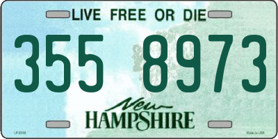 NH license plate 3558973