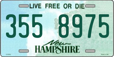 NH license plate 3558975