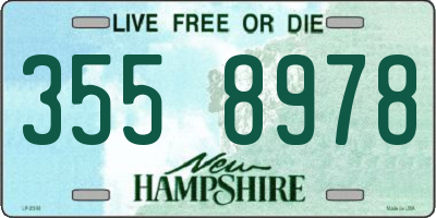 NH license plate 3558978