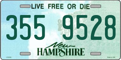 NH license plate 3559528