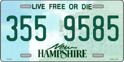 NH license plate 3559585