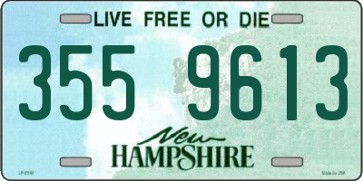 NH license plate 3559613