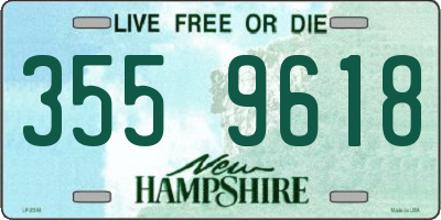 NH license plate 3559618