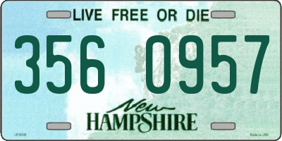 NH license plate 3560957