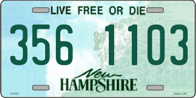 NH license plate 3561103