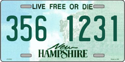 NH license plate 3561231