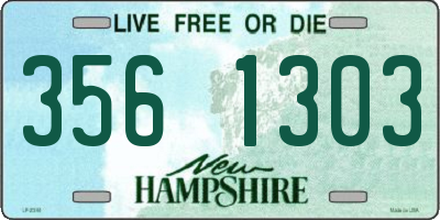 NH license plate 3561303