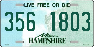 NH license plate 3561803