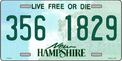 NH license plate 3561829