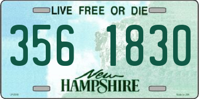 NH license plate 3561830