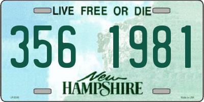 NH license plate 3561981