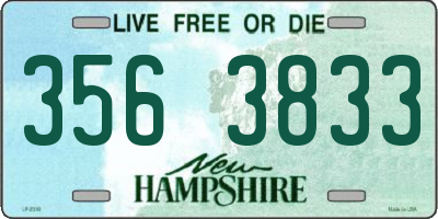 NH license plate 3563833