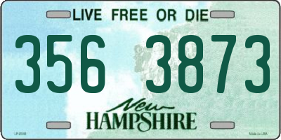 NH license plate 3563873