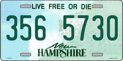 NH license plate 3565730