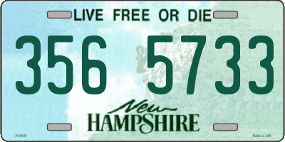 NH license plate 3565733