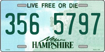 NH license plate 3565797