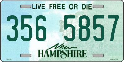 NH license plate 3565857