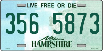 NH license plate 3565873