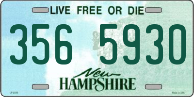 NH license plate 3565930