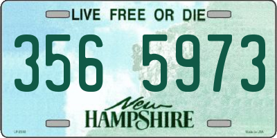 NH license plate 3565973