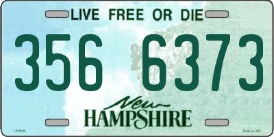 NH license plate 3566373