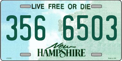 NH license plate 3566503