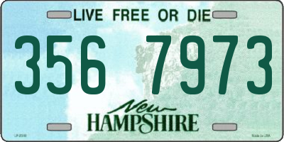 NH license plate 3567973