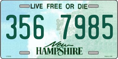 NH license plate 3567985