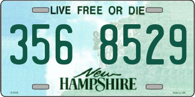 NH license plate 3568529