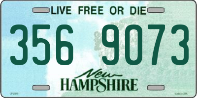NH license plate 3569073