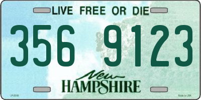 NH license plate 3569123