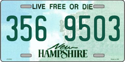 NH license plate 3569503