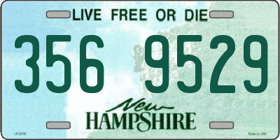 NH license plate 3569529