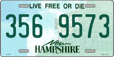 NH license plate 3569573
