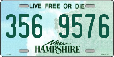 NH license plate 3569576