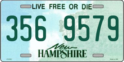NH license plate 3569579
