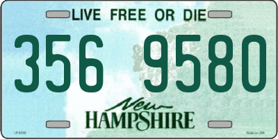 NH license plate 3569580