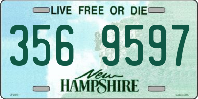 NH license plate 3569597