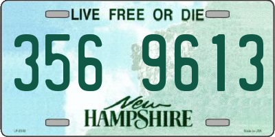 NH license plate 3569613