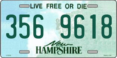 NH license plate 3569618
