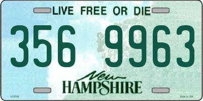 NH license plate 3569963