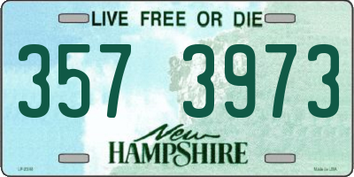 NH license plate 3573973
