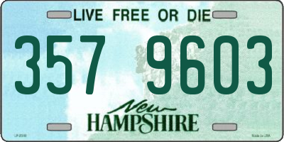 NH license plate 3579603