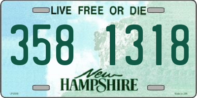 NH license plate 3581318