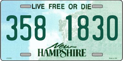 NH license plate 3581830