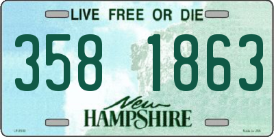 NH license plate 3581863