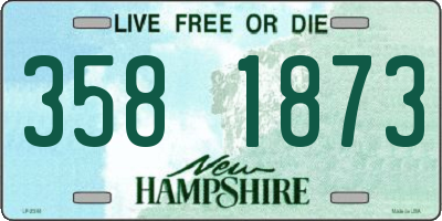 NH license plate 3581873